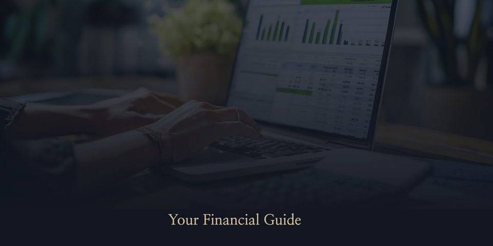 Platinum LedgerWorks LLC