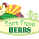 Branding Design: Farm Fresh Herbs